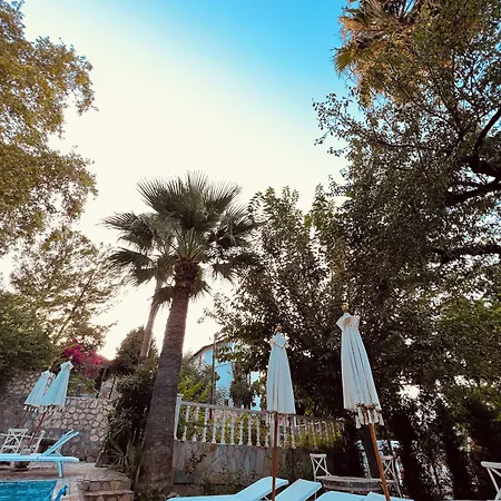 The Old Mill Лапитос