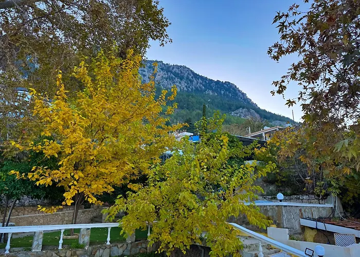 Hotel The Old Mill Lapta