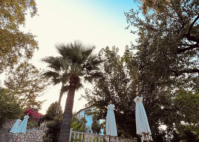 The Old Mill Lapitos