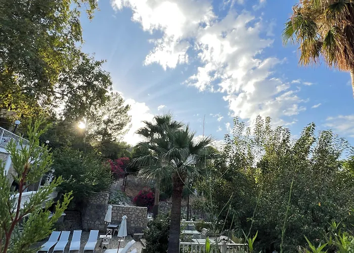 The Old Mill * Lapitos